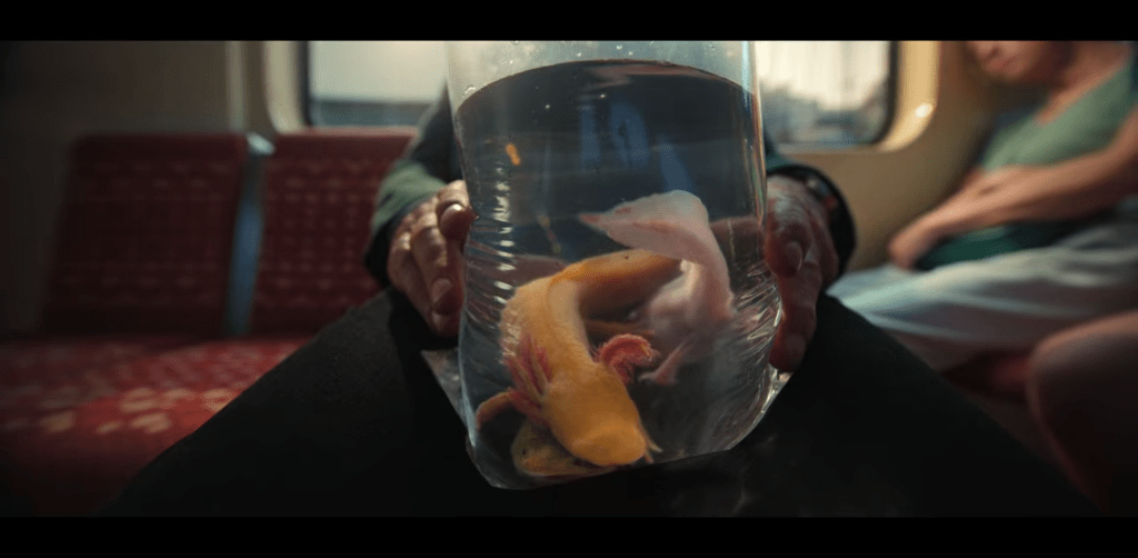 [Bardo – La cronaca falsa di alcune verità, di&nbsp;Iñárritu]